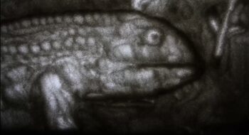 写真：サンドアニメーション「Soil」 2025年 1分18秒